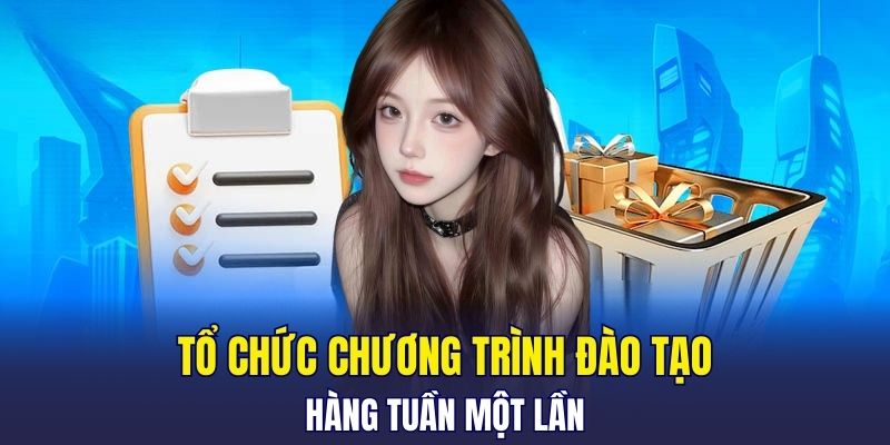 Tổ chức chương trình đào tạo hàng tuần một lần